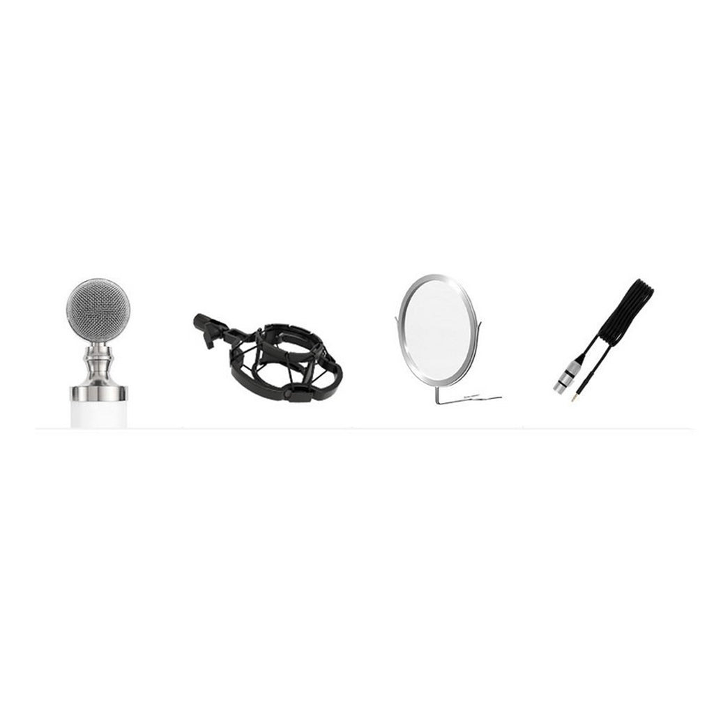 Plastic Mini Capacitance Mobile iPhone Microphone Silver