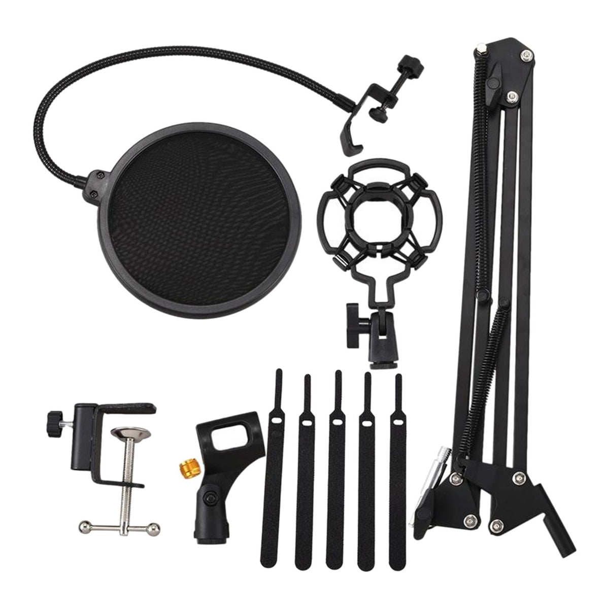 Professional Studio Vocal Recording Microphone Stand Kit + Filter + Cl ...