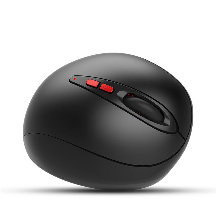 HXSJ 2.4G Wireless Prevention Ergonomic Black Vertical Mouse