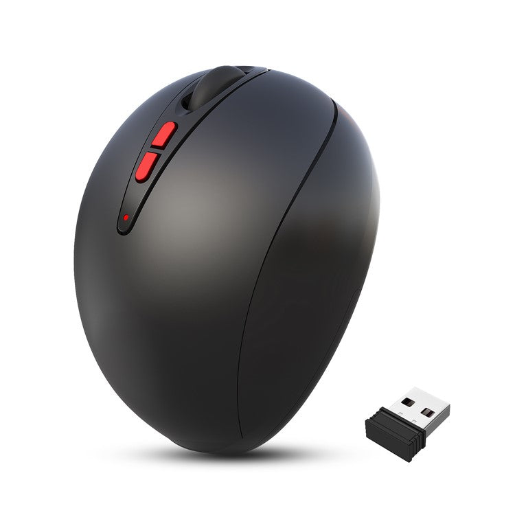 HXSJ 2.4G Wireless Prevention Ergonomic Black Vertical Mouse