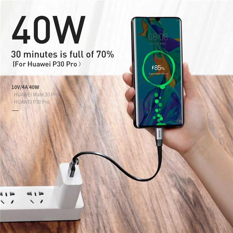 BASEUS Simple HW 23cm 40W USB to Type-C Super Quick Charging Sync Cable - Silver + Black