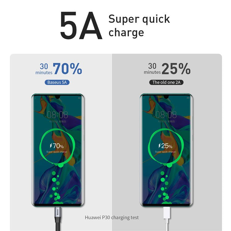 BASEUS Simple HW 23cm 40W USB to Type-C Super Quick Charging Sync Cable - Silver + Black