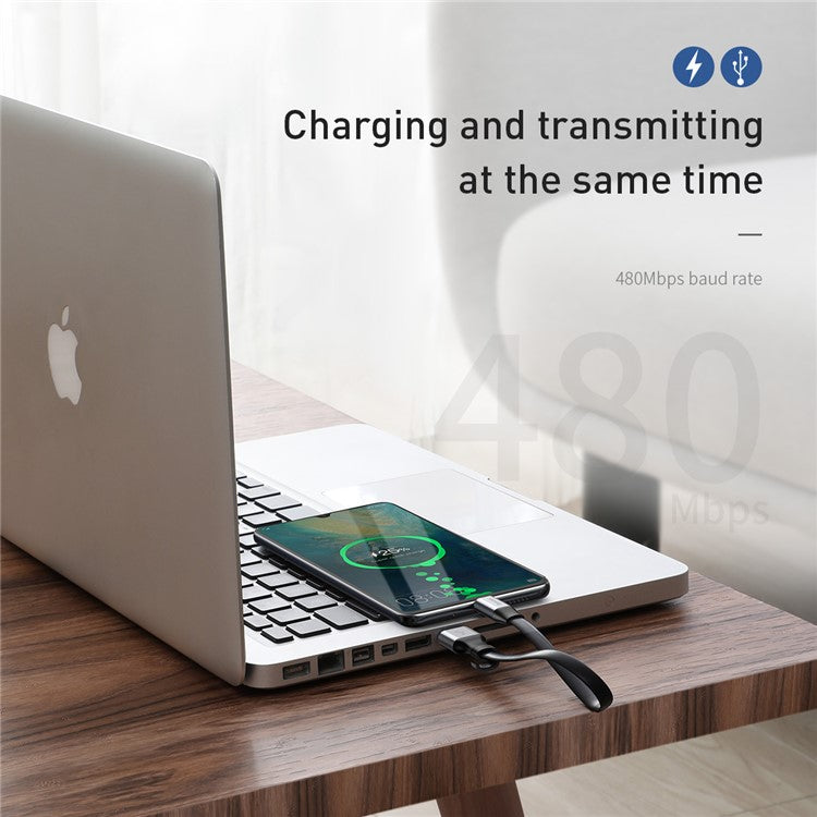 BASEUS Simple HW 23cm 40W USB to Type-C Super Quick Charging Sync Cable - Silver + Black