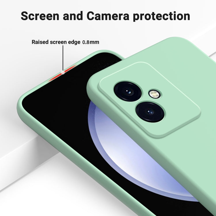 For Honor 100 Solid Color Liquid Silicone Dropproof Full Coverage Protective Case(Green)