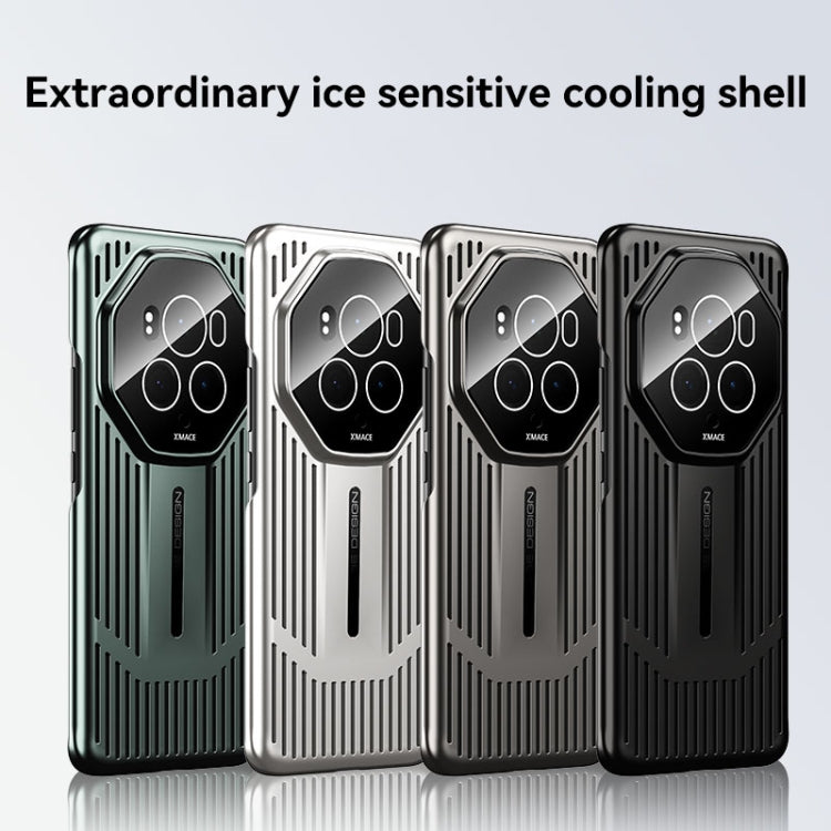 For Honor Magic6 Ice Sense Heat Dissipation Electroplating Frosted Phone Case(Light Green)