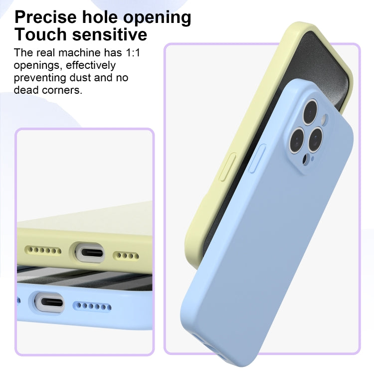 For iPhone 16 Pro Max Precise Hole Liquid Silicone Jelly Color Full Coverage Phone Case(Mint Green)