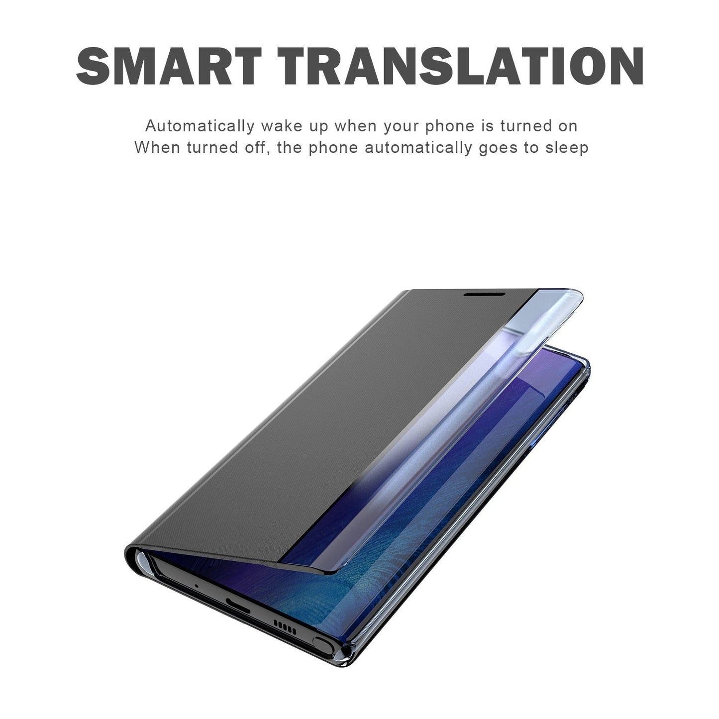 For Galaxy Note 10 Plus Plain Texture Cloth Attraction Flip Holder Leather Phone Case(Silver)
