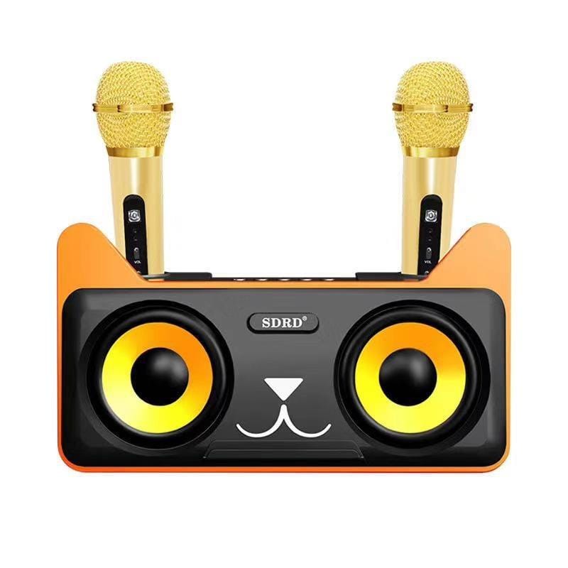 SDRD SD-305 2 in 1 Family KTV Portable Wireless Live Dual Microphone + Bluetooth Speaker (Black)