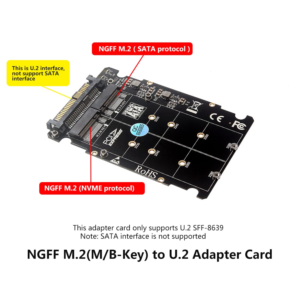M.2 NGFF SSD(Key M) Key B SSD to U.2 SFF-8639 Adapter Card
