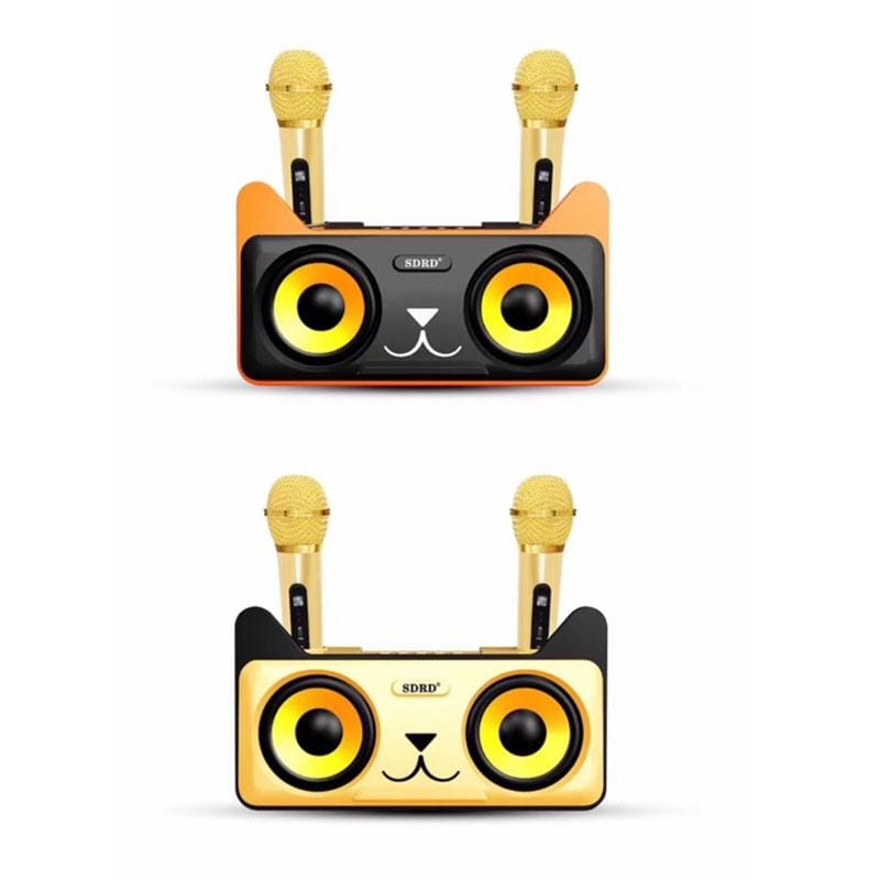 SDRD SD-305 2 in 1 Family KTV Portable Wireless Live Dual Microphone + Bluetooth Speaker (Black)