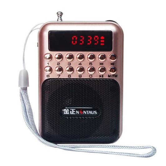 Portable Rechargeable FM Radio Receiver Speaker, Support USB / TF Card / Music MP3 Player (Gold)