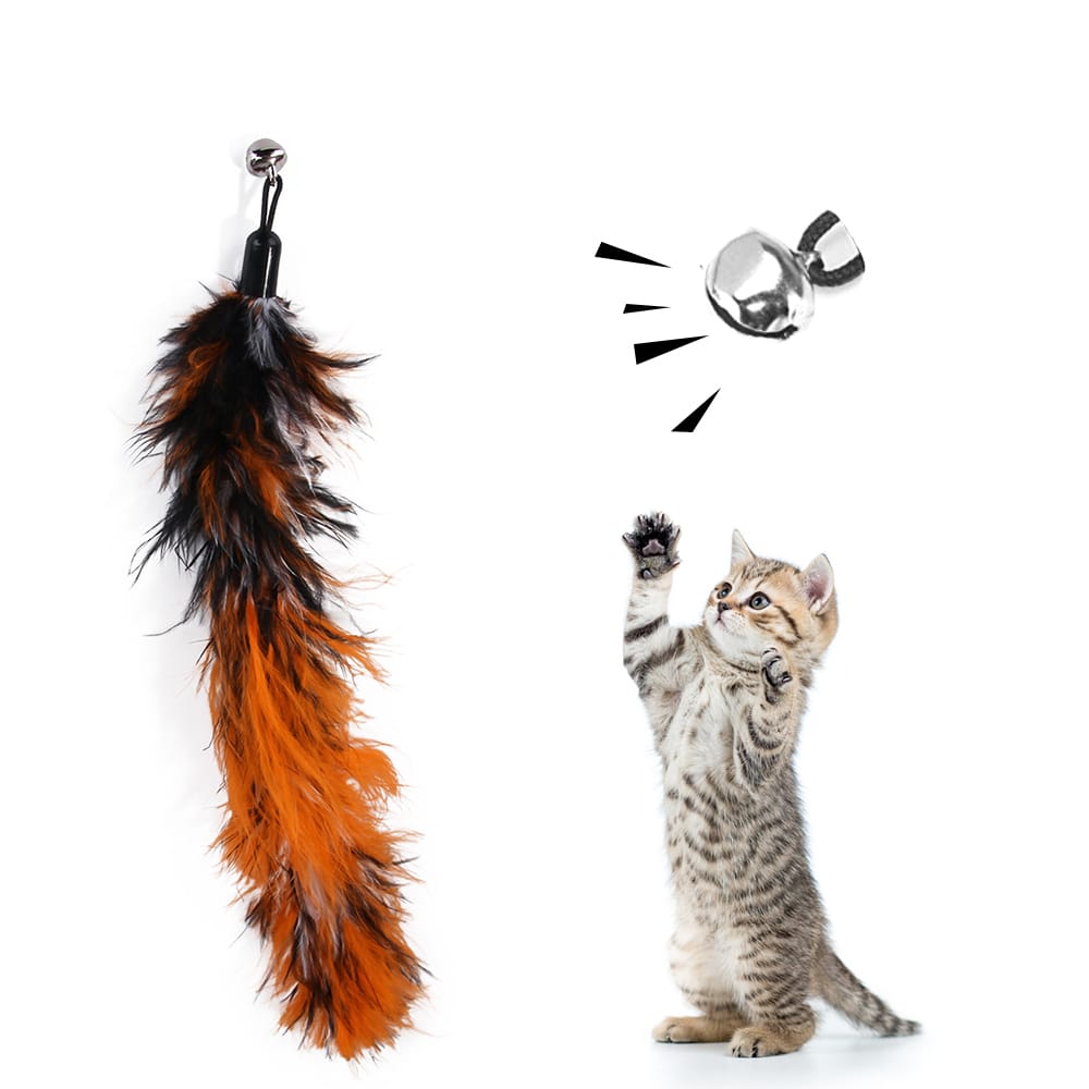 5pcs Replacement Colorful Feathers for Pet Cat Interactive