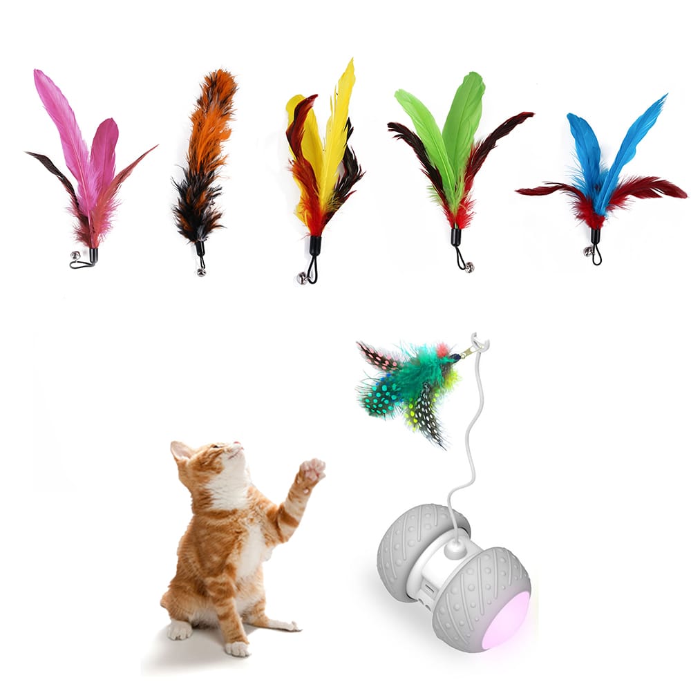5pcs Replacement Colorful Feathers for Pet Cat Interactive