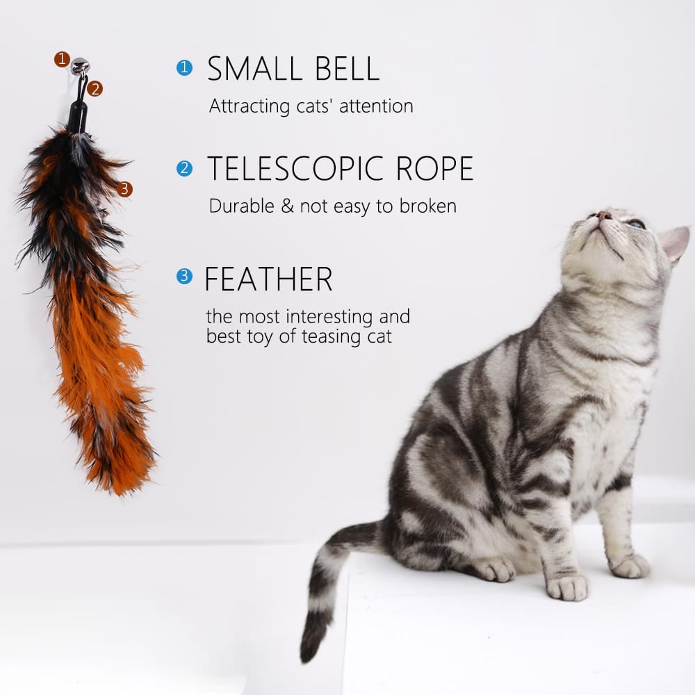 5pcs Replacement Colorful Feathers for Pet Cat Interactive
