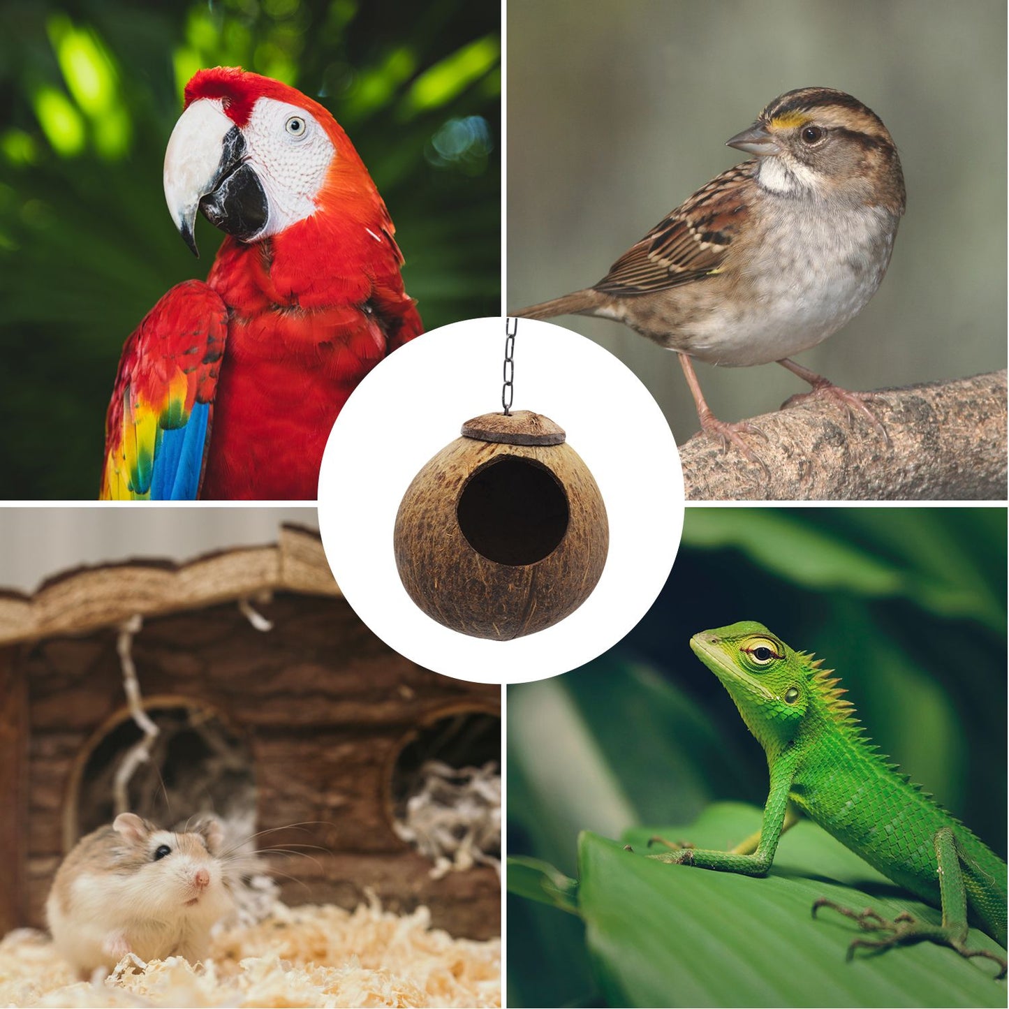 Coconut Bird Hut with Opening Coco Shell Bird House for
