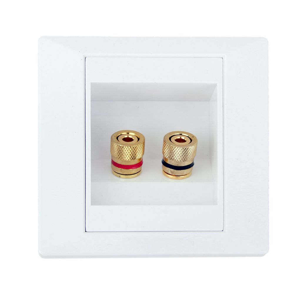Port Speaker Binding Post Wall Face Plate For Banana/Spade Plugs / Cable