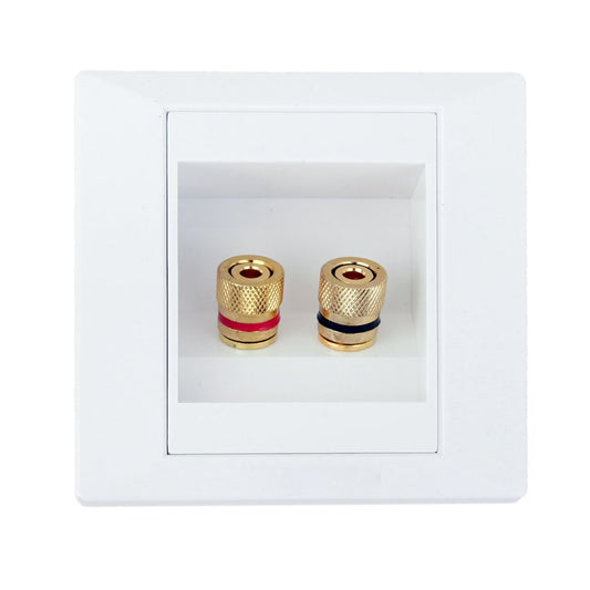 Port Speaker Binding Post Wall Face Plate For Banana/Spade Plugs / Cable