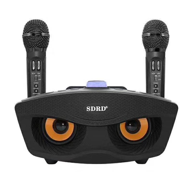 SD-306 2 in 1 Family KTV Portable Wireless Live Dual Microphone + Bluetooth Speaker (Black)