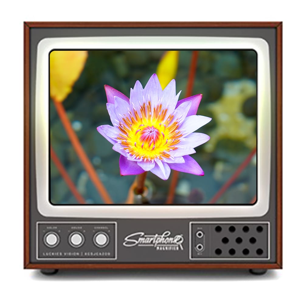 Mobile Phone Video Screen Magnifier Amplifier Expander Stand - 1