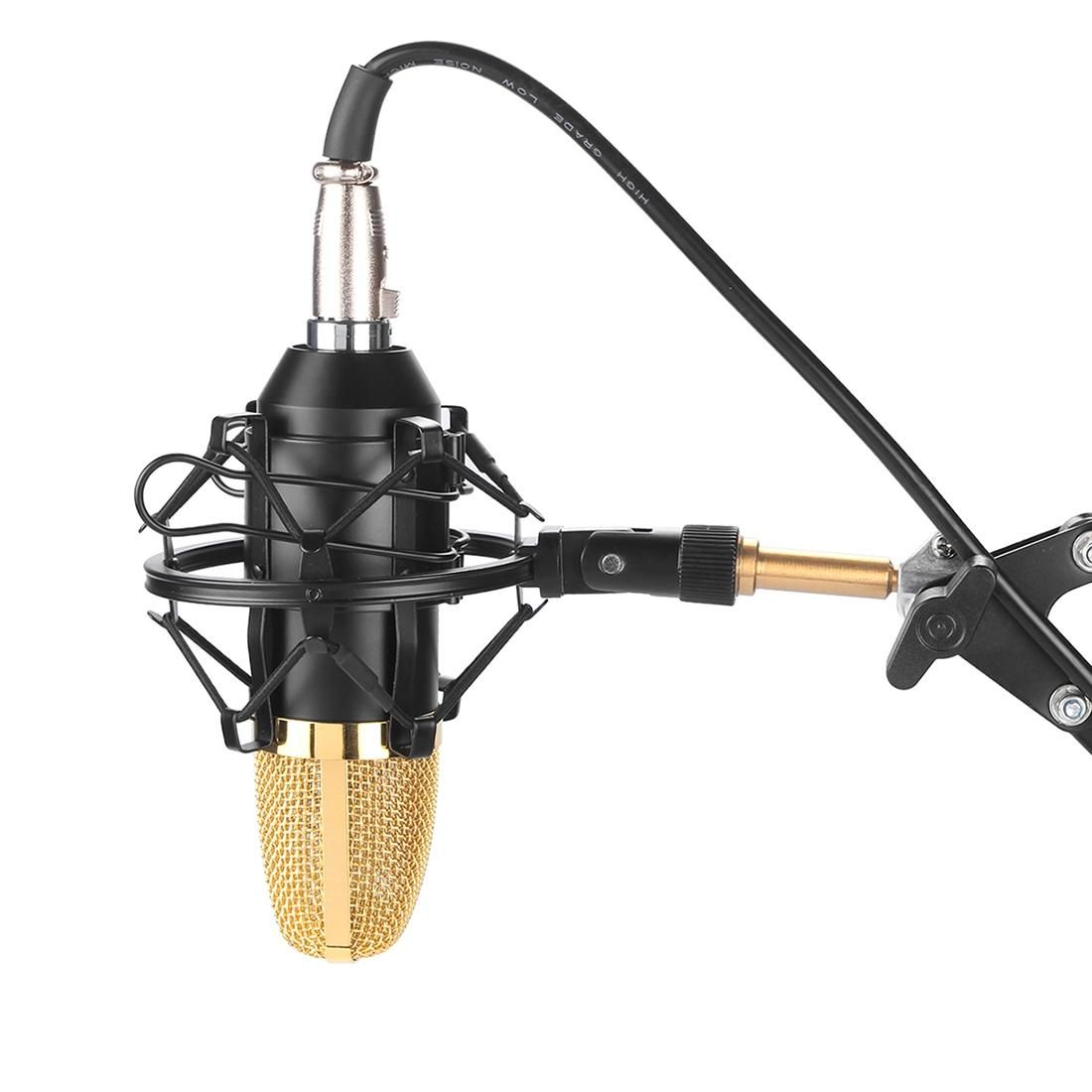 FIFINE F-700 Professional Condenser Sound Recording Microphone with Shock Mount for Studio Radio Broadcasting & Live Boardcast, 3.5mm Earphone Port, Cable Length: 2.5m (Black)