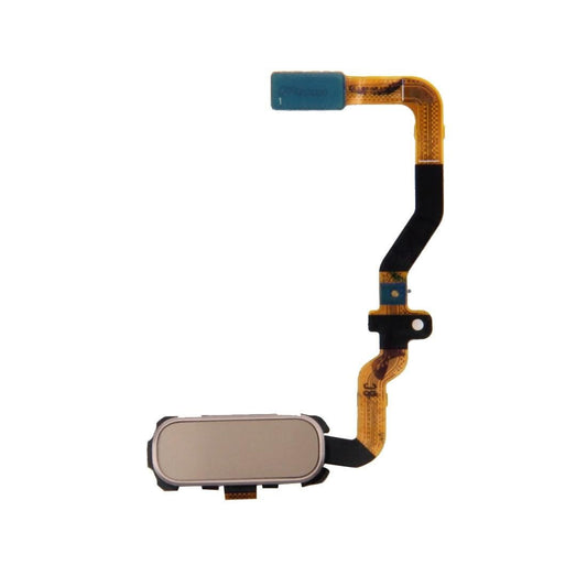 Function Key Home Key Flex Cable  for Galaxy S7 / G930 (Gold)