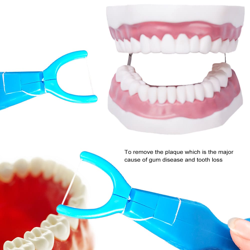 30m Nylon Dental Floss With Holder Pro Household Tooth
