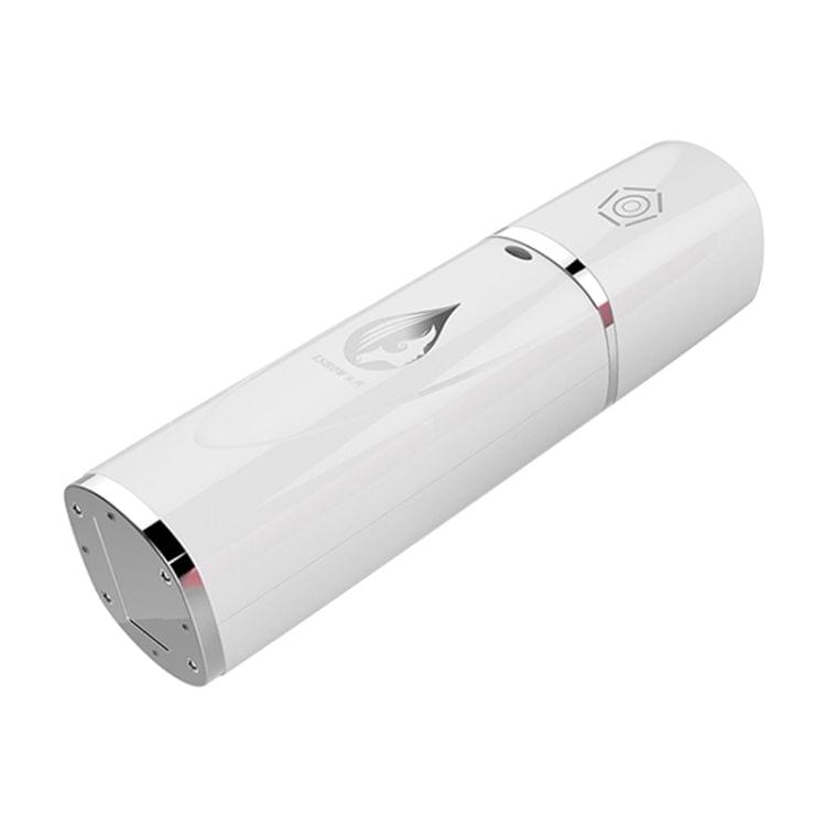 LSHOW YJK009 DC 5V 1A Hand-held Skin Care Water Atomizer Nano Sprayer Water Supplementary Instrument, Water Tank Capacity: 6ml(White)