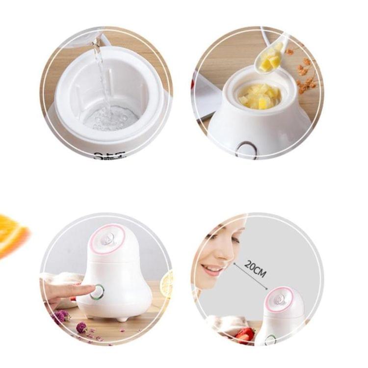 Household Spa Beauty Instrument Nano Spray Water Meter Face Whitening Humidification, Plug:EU