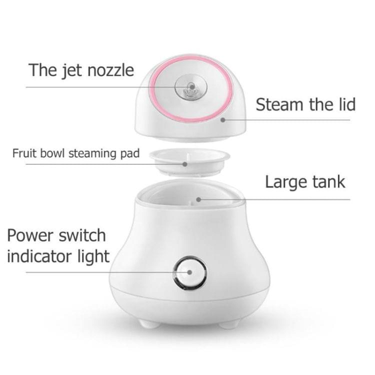 Household Spa Beauty Instrument Nano Spray Water Meter Face Whitening Humidification, Plug:EU