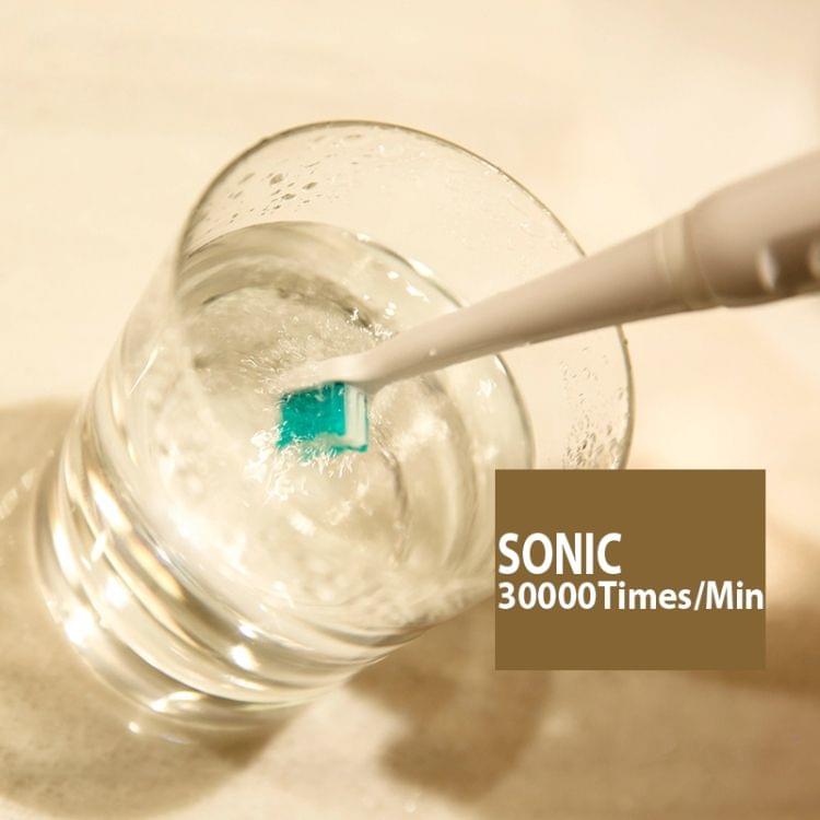 Lansung Rechargeable Sonic Electric Toothbrush Ultrasonic Whitening Teeth Vibrator with 4 Brush Heads(Green)