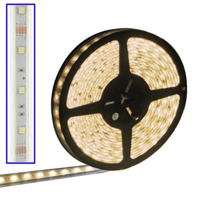 Casing Waterproof Rope Light, Length: 5m