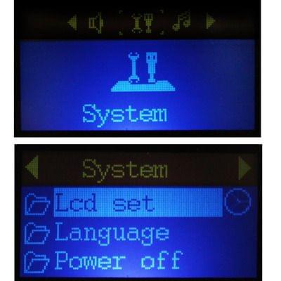 TF (Micro SD) Card Slot MP3 Player with LCD Screen, Metal Clip(Black)