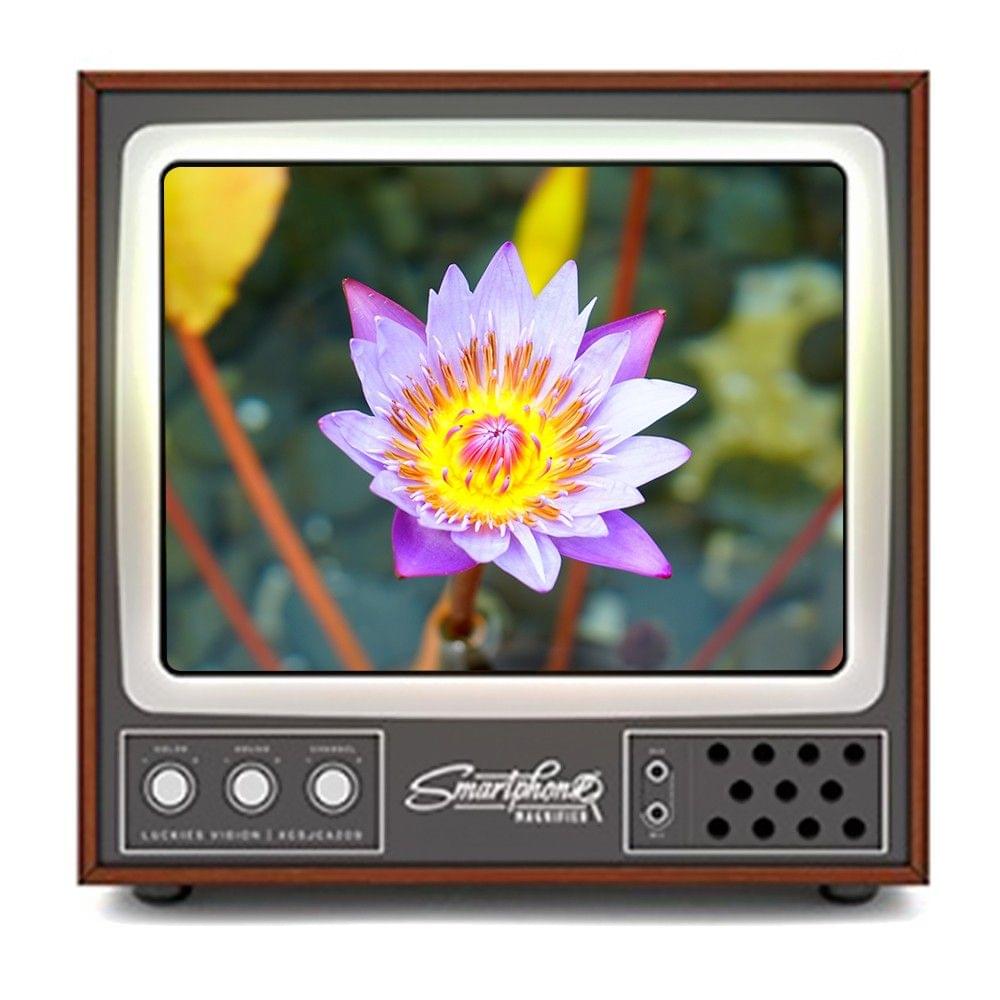 Mobile Phone Video Screen Expander