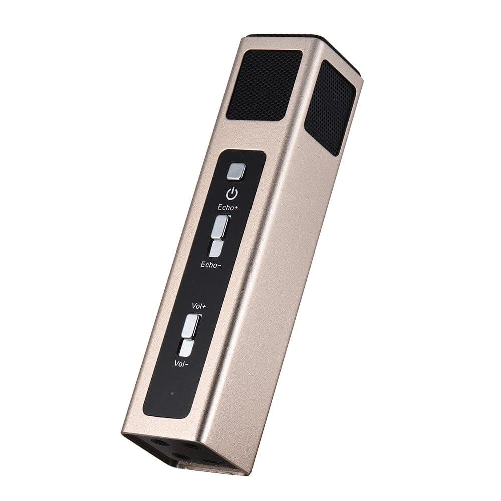 Professional Condenser Microphone Mic Echo Sound Effect