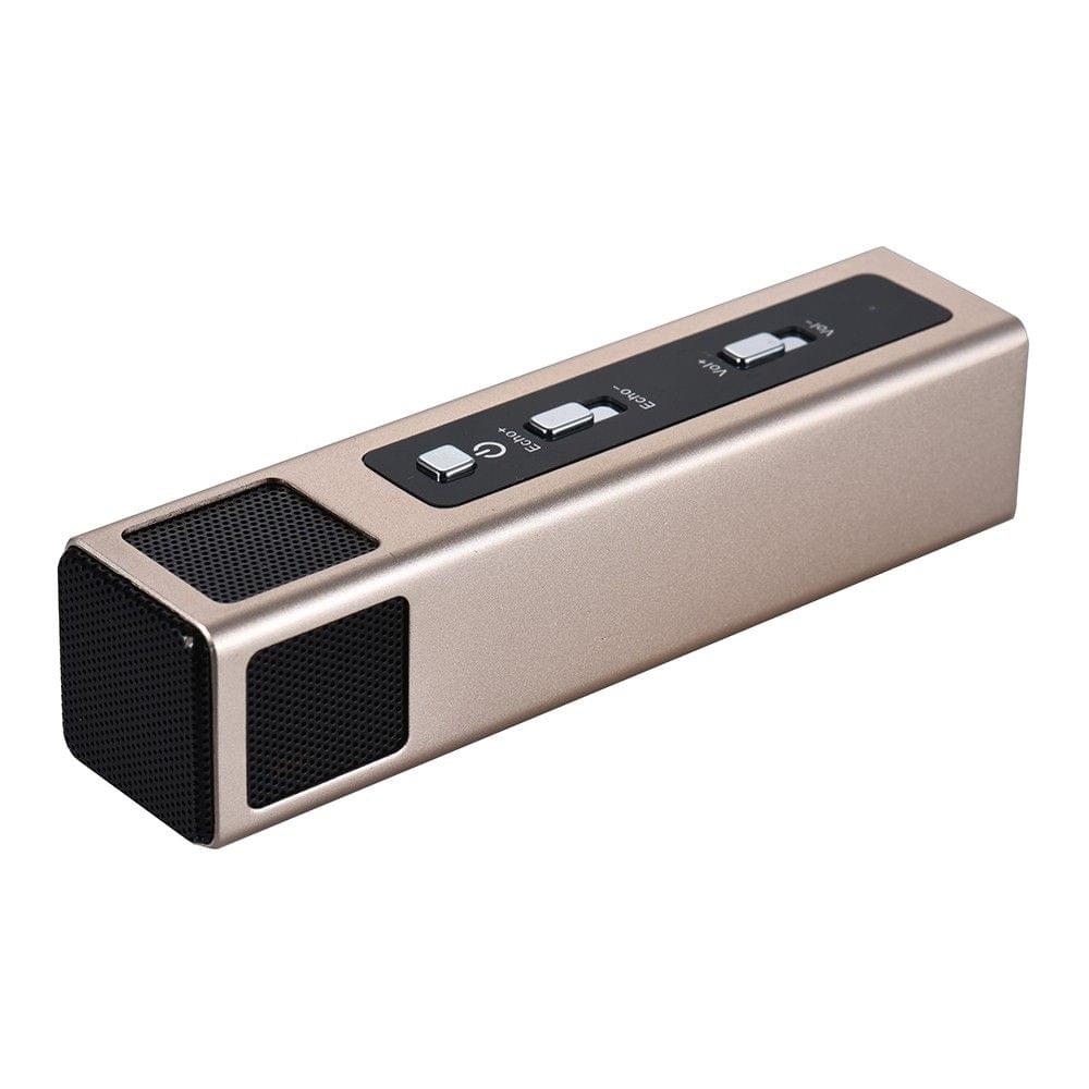 Professional Condenser Microphone Mic Echo Sound Effect