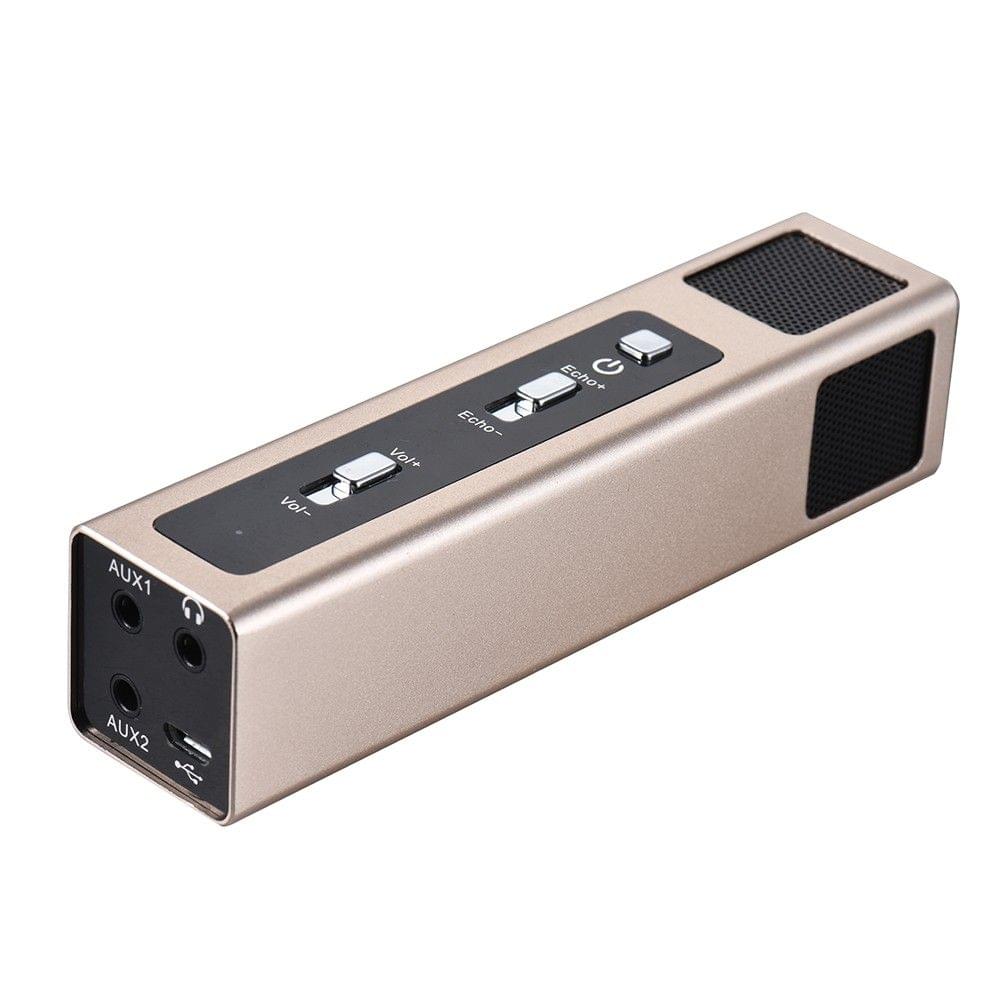 Professional Condenser Microphone Mic Echo Sound Effect