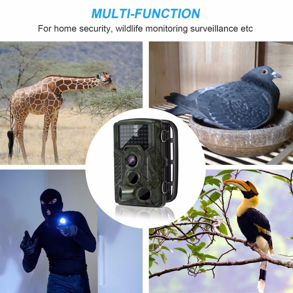 HC-800A Hunting Trail Camera 1080P HD Outdoor Hunting Camera