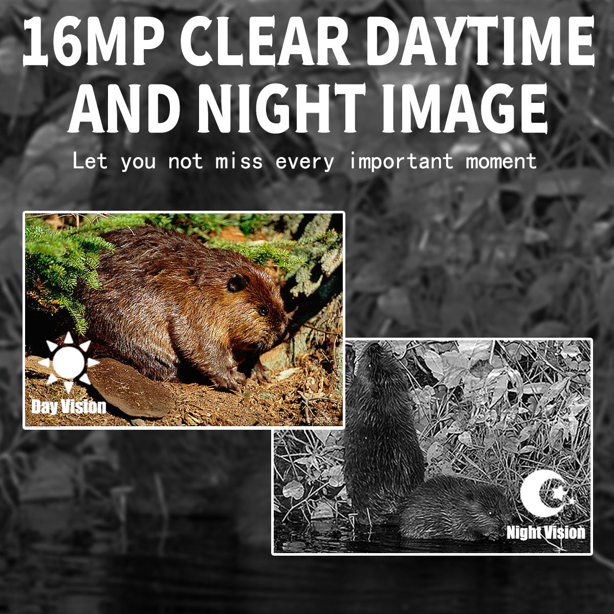 PR300 PRO 1080P HD Infrared Trail Camera 16MP Night Vision IP54 Waterproof Outdoor Hunting Scouting Camera