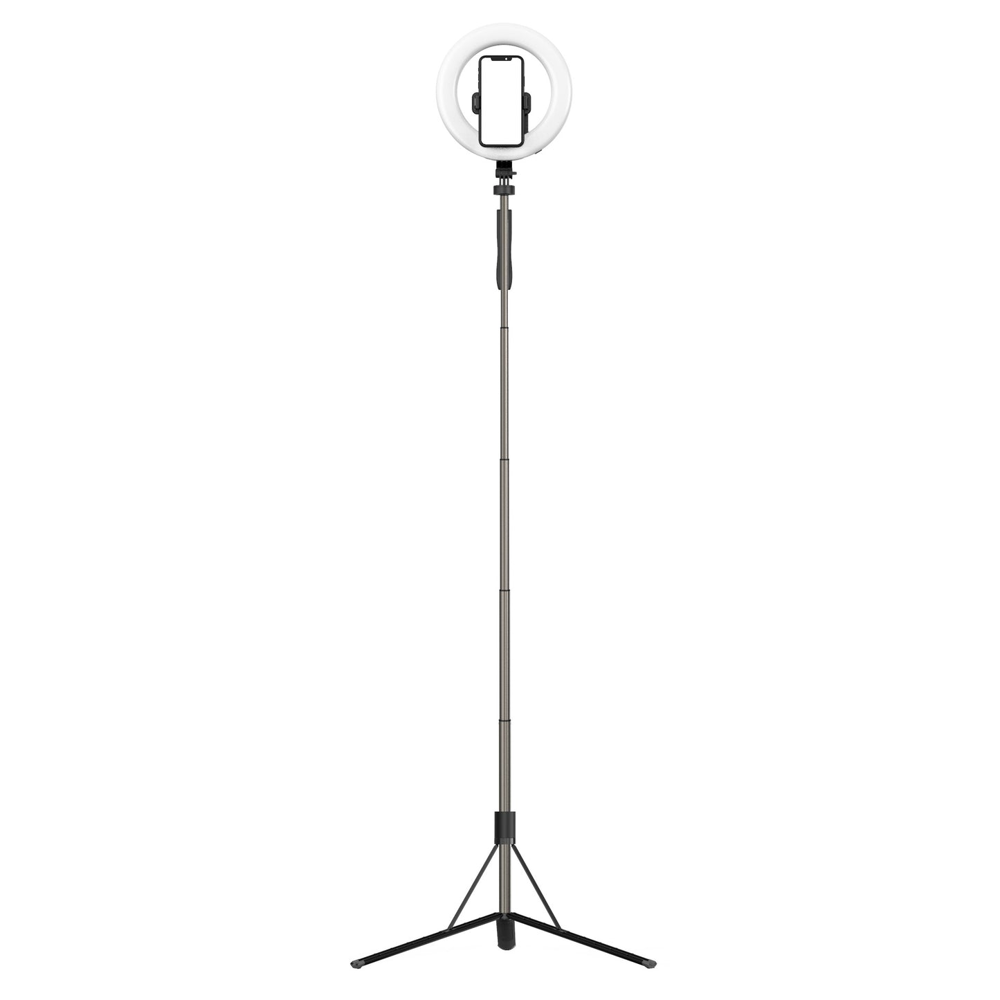 L06 8inch LED Ring Light Selfie Fill Light with Phone Holder and Tripod Stand