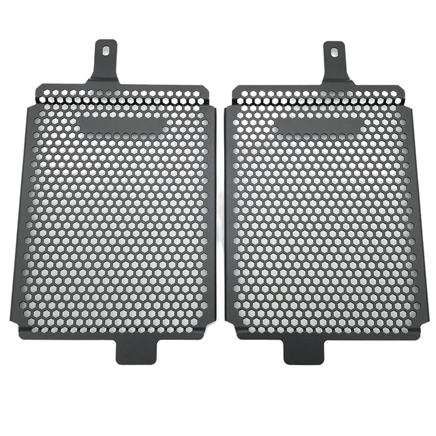 Radiator Grille Guard Protector for BMW R 1250 GS 2019-2021 Professional