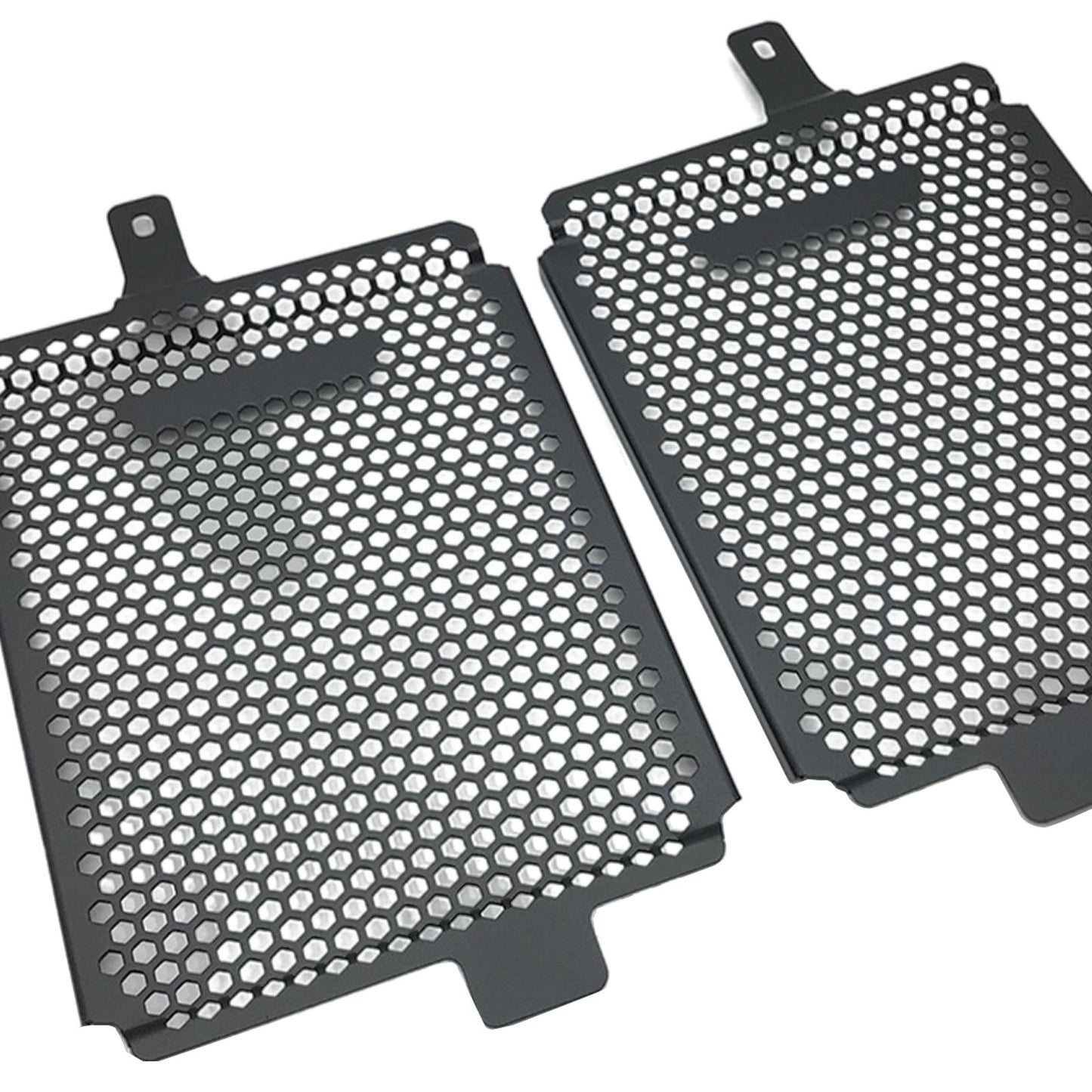 Radiator Grille Guard Protector for BMW R 1250 GS 2019-2021 Professional