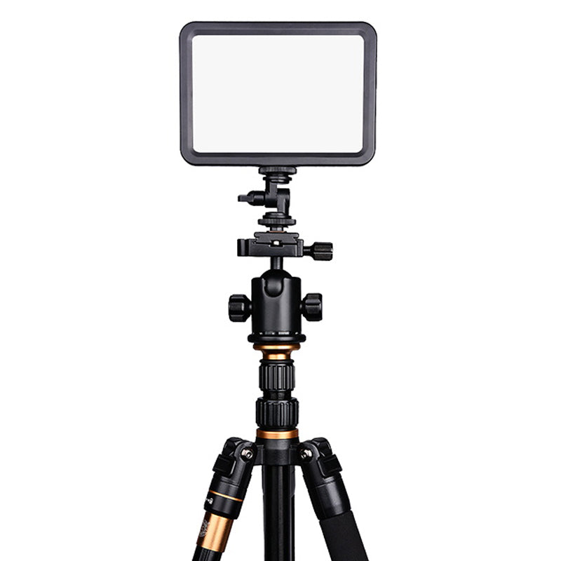 Yelangu LED204 LED Video Light Small Portable Photography Lighting with Hot Shoe 1/4 Screw Hole for SLR Camera/Video Camera/Tripod/