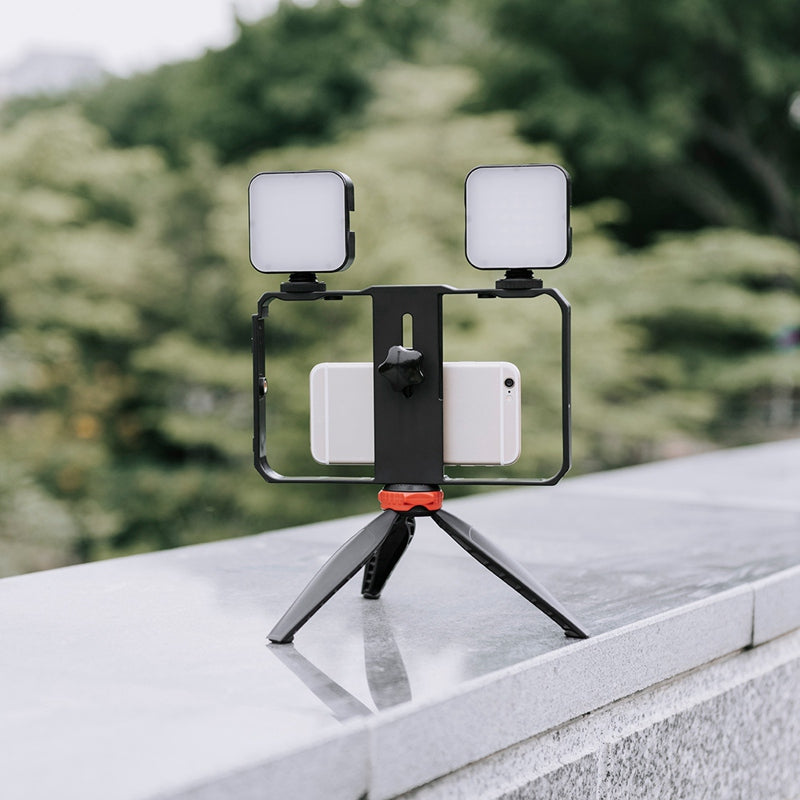 YELANGU PC203 Dual Handle Handheld Video Cage Stabilizer Kit with Tripod Phone Adjustable Stabilizer