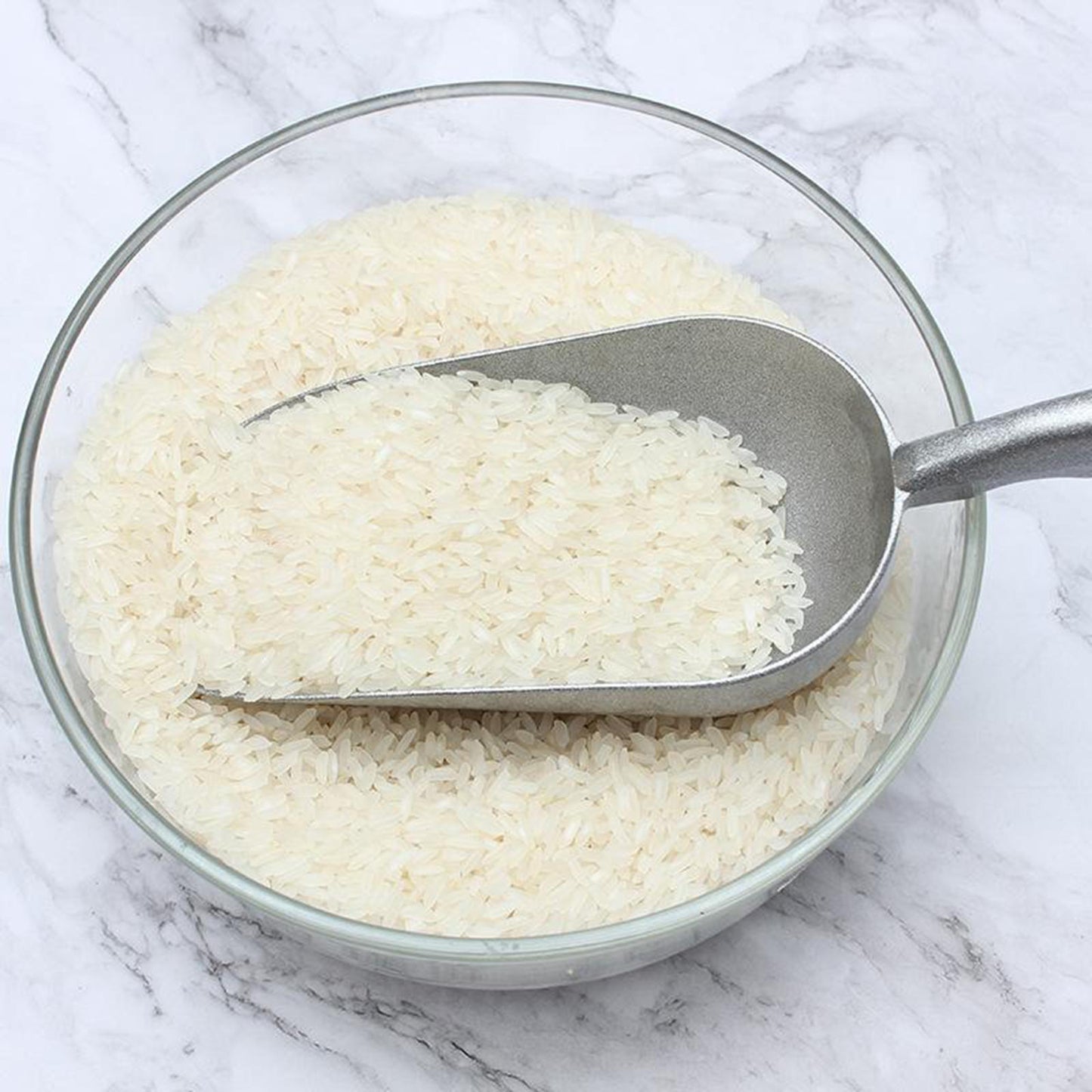 Heavy Duty Ice Scoop Measuring Spoons for Grains Sugar Spices Dry Goods L
