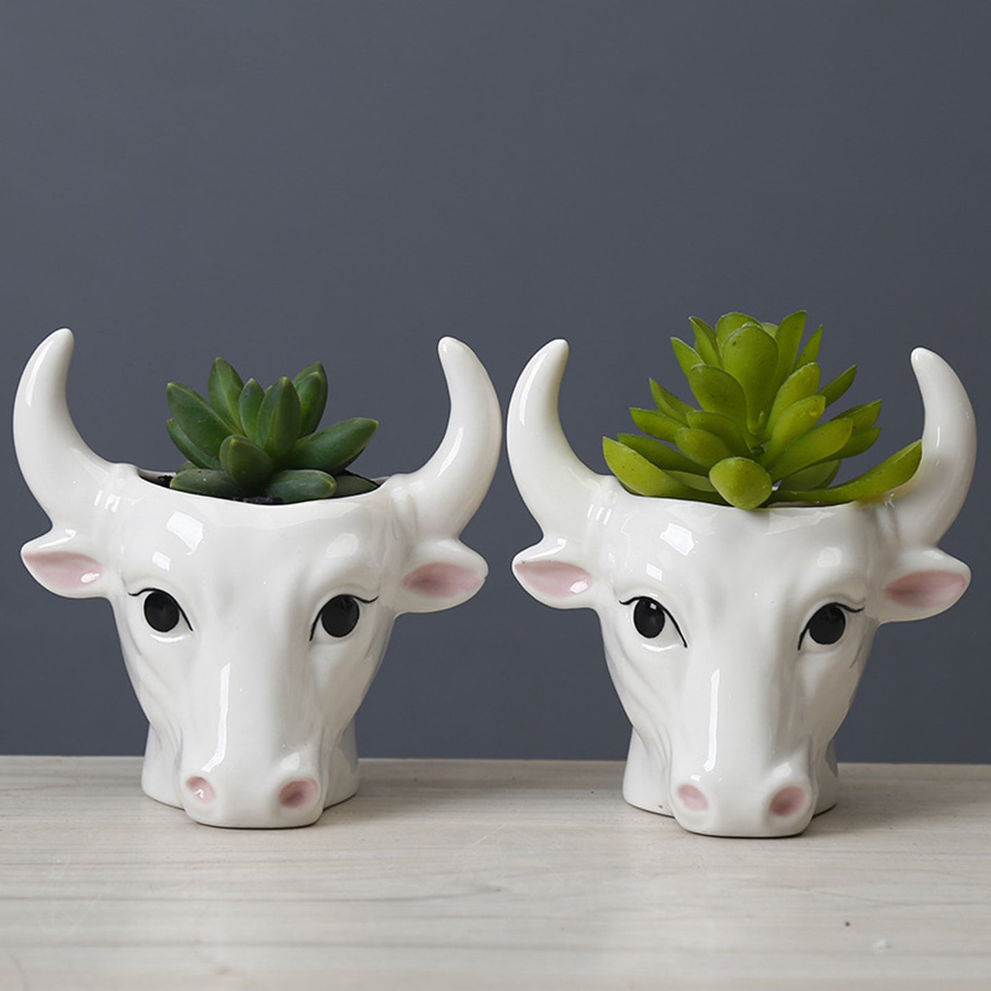 Mini Bull Succulent Pot Flower Plant Planter Flowerpot Office Home Balcony