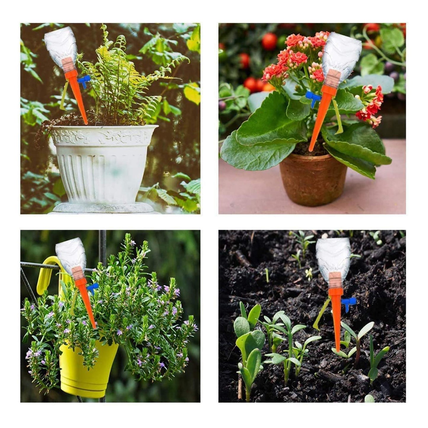 Plant Self Watering Spikes Anti-Down for Plants Herbs Small Trees Shrubs 12pcs