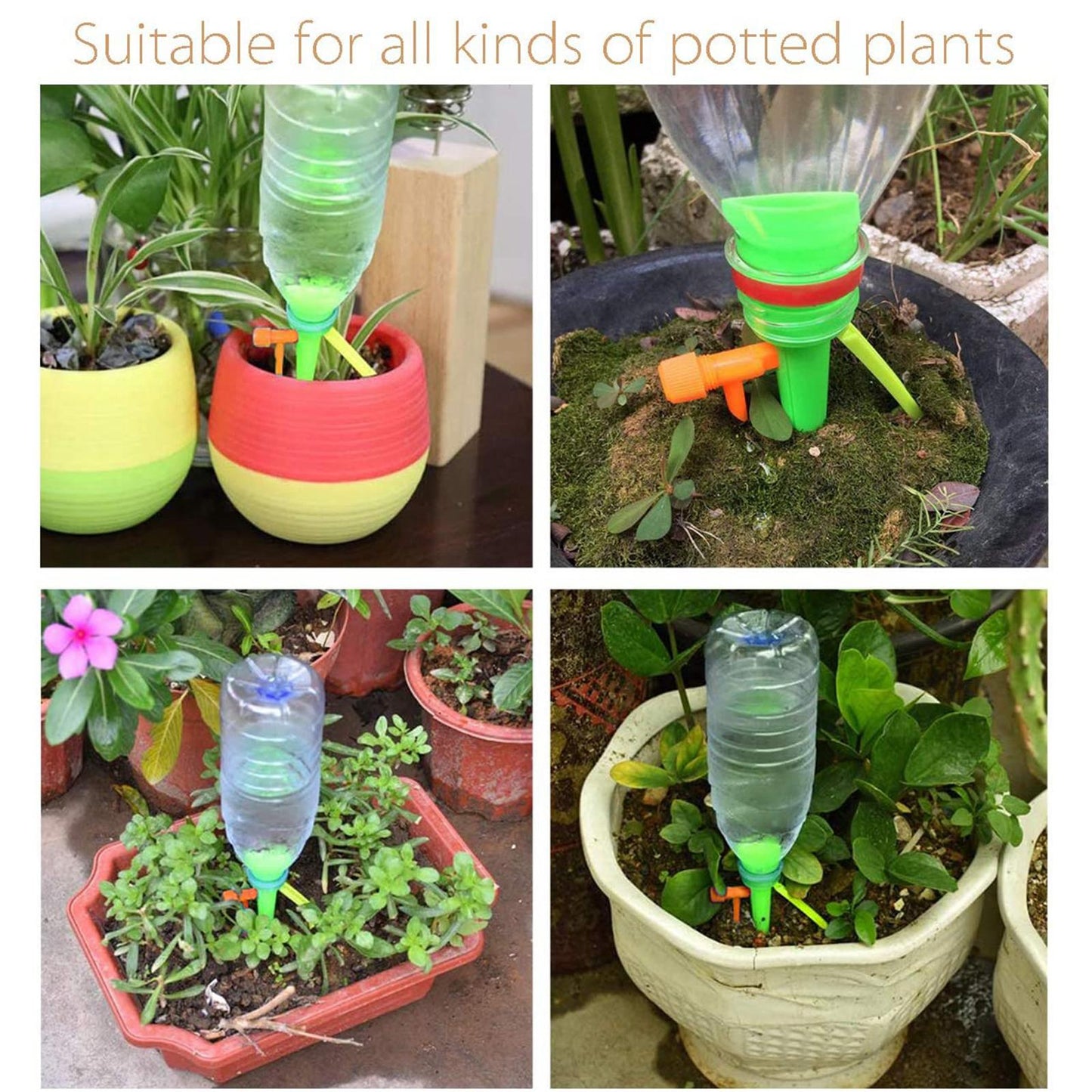 Plant Self Watering Spikes Anti-Down for Plants Herbs Small Trees Shrubs 6pcs