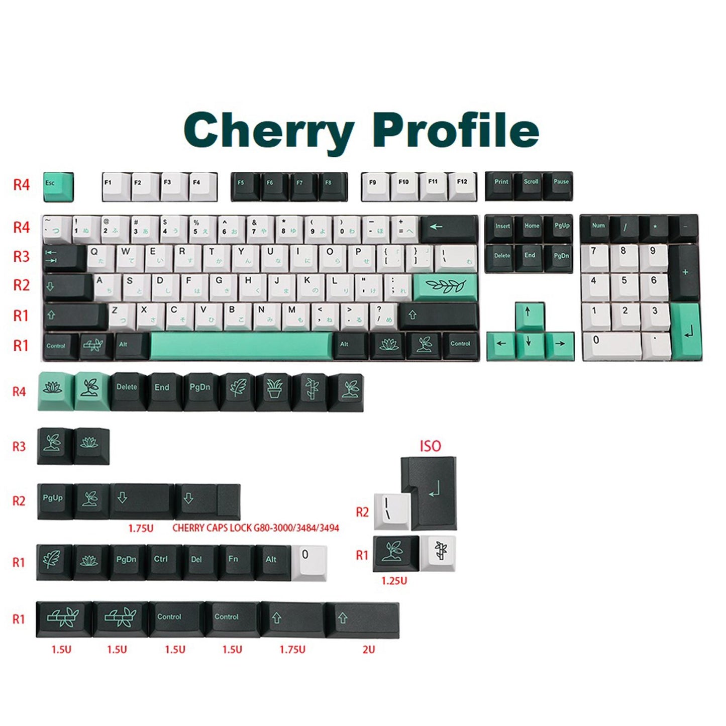 135-Key PBT Garden Theme Keycaps for Cherry 61 64 68 72 98 keys  Japanese
