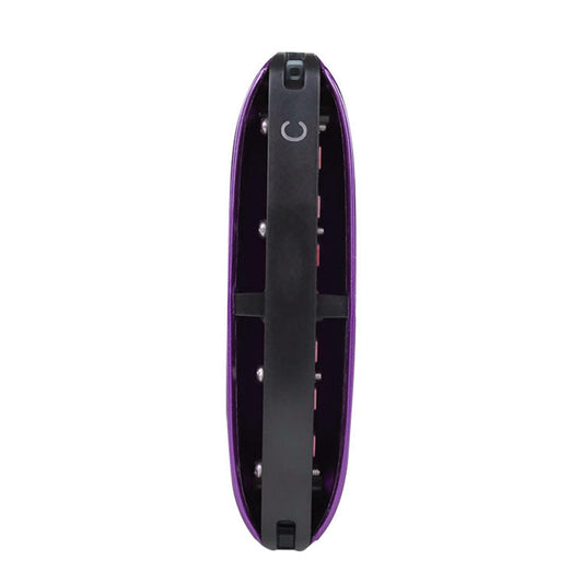 14 Tone Harmonica and Neck Strap Gift for Beginners Students Musical Lovers purple