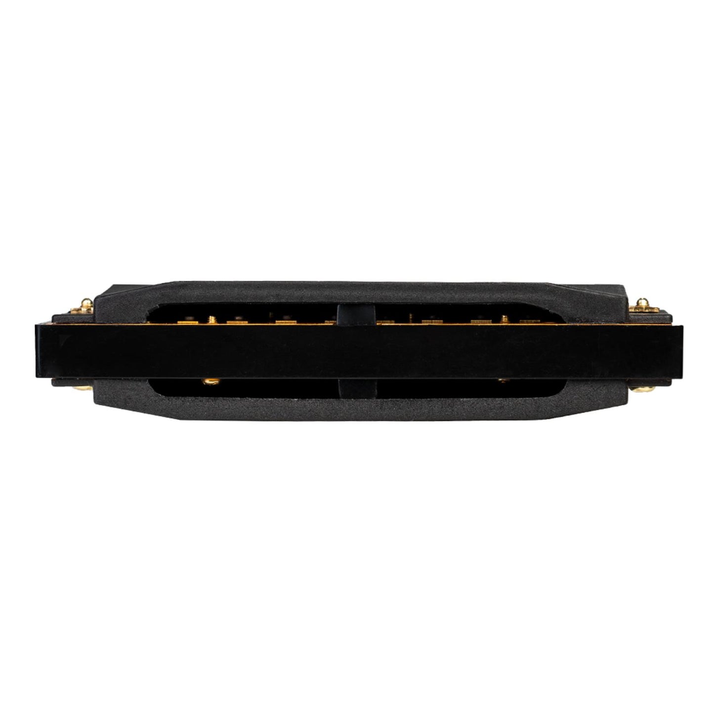 Portable 10-Hole Diatonic Blues Harmonica Key of C D G 3 Tone